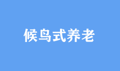 候鳥式養老 新思維拓展養老新空間